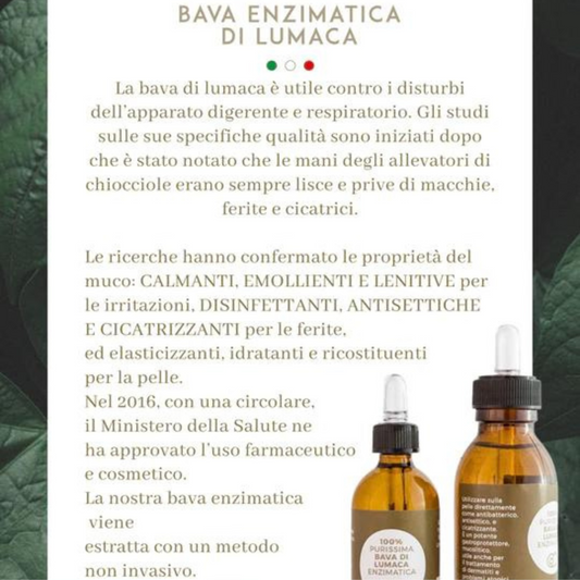 BAVA ENZIMATICA